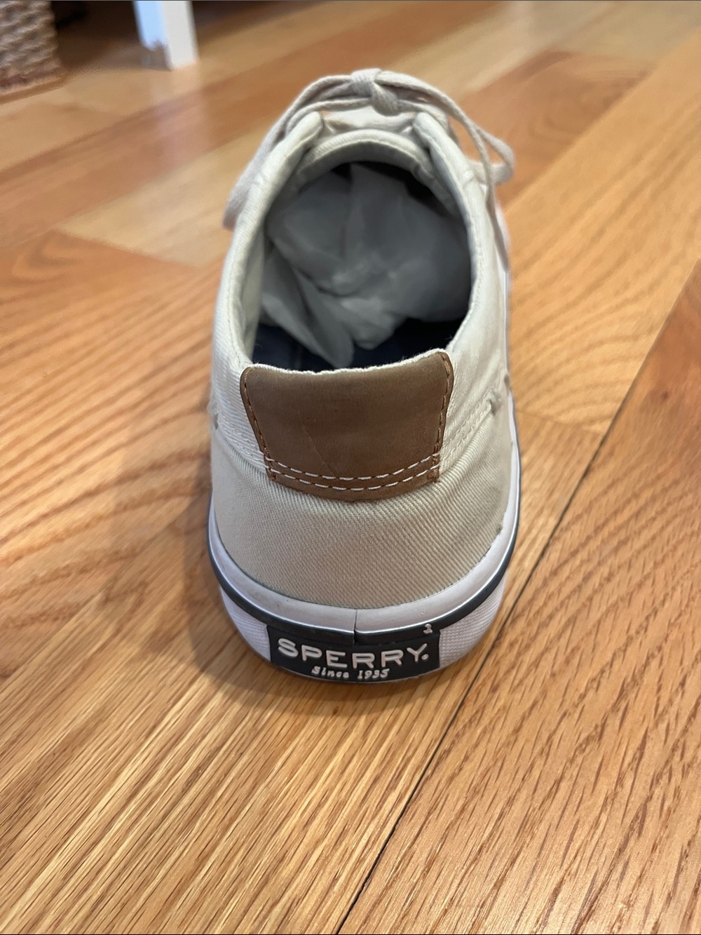 Men's Sperry Low-Top Canvas Sneakers in Light Beige - Picture 4 of 9